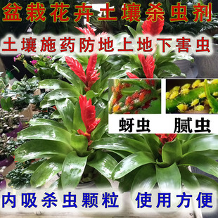 盆栽地栽花卉用进口地埋杀虫颗粒剂氯虫噻优小白药小黑飞腻虫蚜虫