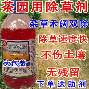茶园用精草铵膦磷除草剂杂草禾阔双除连根拔杂草一扫光农药除果园