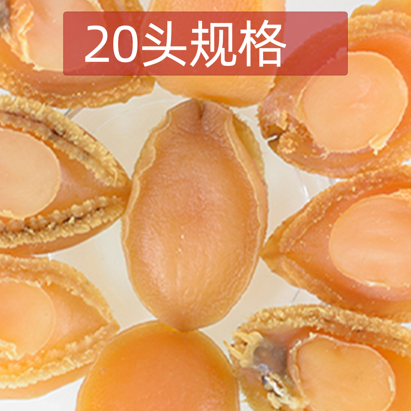 25/20头鲍鱼干货礼品馈赠年货诚意煲汤烹饪美味营养超值爆款特卖