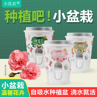 小花农迷你自吸水种植吧盆栽儿童绿植物种子阳光科学种地实验