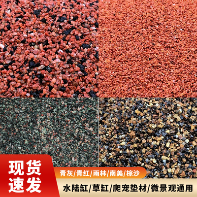 雷龙底沙灰青沙青红沙偏暗灰青沙青灰红沙雷龙专用原生鱼缸造景沙