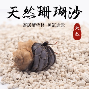 珊瑚沙寄居蟹专用沙天然垫材菲律宾沙造景原生贝壳砂三湖慈雕底砂