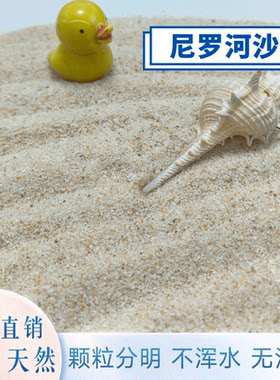 天然尼罗河河沙无污染不浑水