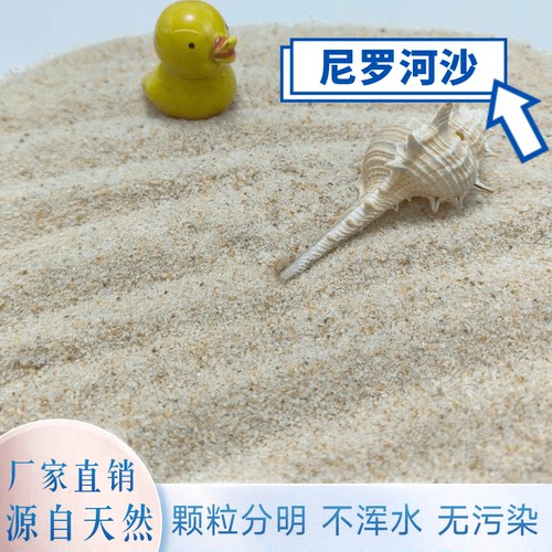 天然尼罗河河沙无污染不浑水