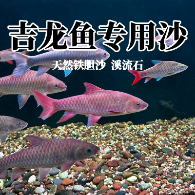 吉罗鱼专用铁胆沙溪流石鱼缸造景沙天然黑工砂乌龟缸水族装饰鳌虾