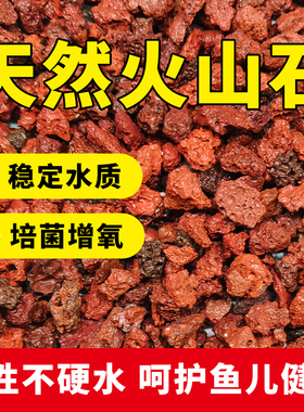 免洗天然火山石颗粒精筛洗养多肉颗粒土兰花铺面鱼缸专用过滤材