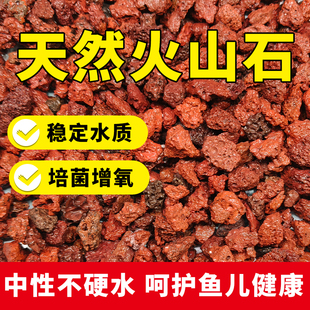 免洗天然火山石颗粒精筛洗养多肉颗粒土兰花铺面鱼缸专用过滤材