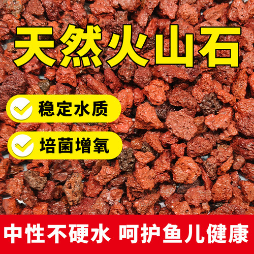 免洗天然火山石颗粒精筛洗养多肉颗粒土兰花铺面鱼缸专用过滤材 - 封面
