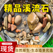 精品溪流石天然原生鱼缸造景鹅卵石原生水族鱼缸水草缸多肉铺面