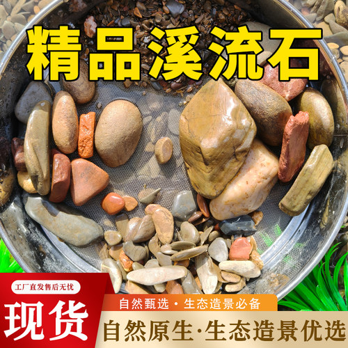 精品溪流石天然原生鱼缸造景鹅卵石原生水族鱼缸水草缸多肉铺面