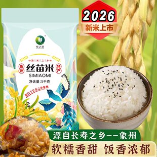【广西象州】长粒丝苗香米一级优质大米产地供农家米新米现磨速发