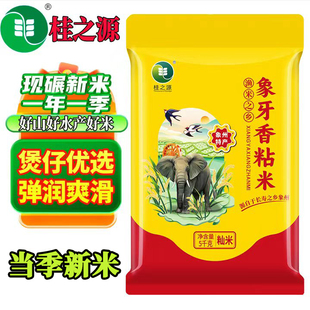 【广西壮乡】象牙香粘米油粘米长粒软香米新稻现磨象州大米香米