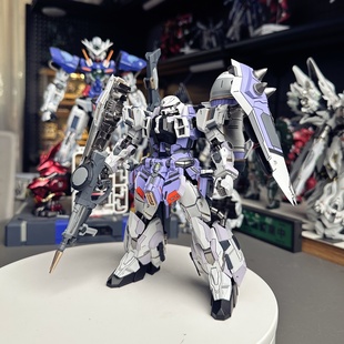 星海板喷 极霸扎古  以太精微GK造型 露娜扎古 合金骨架高达