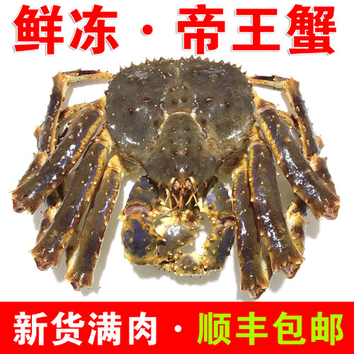 4.4-4.6斤一只生冻鲜帝王蟹鲜冷冻活冻鲜活帝王蟹 皇帝蟹螃蟹蟹脚