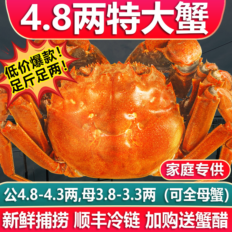 特大鲜活阳澄苏州淡水湖蟹年货礼盒大闸蟹现货10/8只公母官方礼盒,水产肉类/新鲜蔬果/熟食,大闸蟹,淘宝优惠券,粉丝福利购,淘宝优惠卷