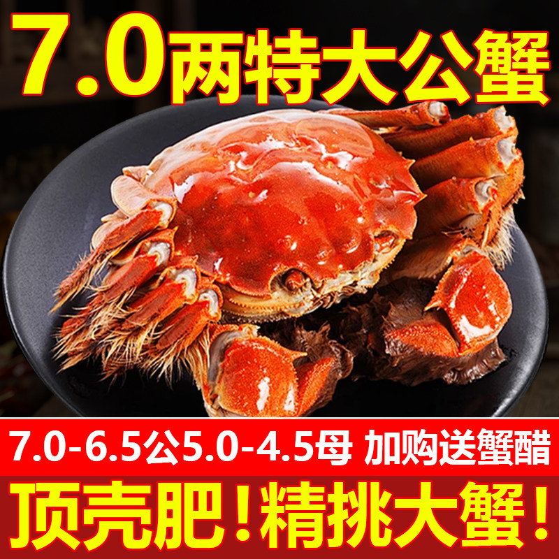 [现货]鲜活特大公蟹阳澄大闸蟹苏州特产湖蟹螃蟹年货8/10大蟹礼盒,水产肉类/新鲜蔬果/熟食,大闸蟹,淘宝优惠券,粉丝福利购,淘宝优惠卷