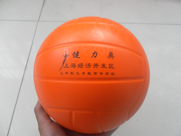 Ballon de volley - Ref 2012210 Image 3