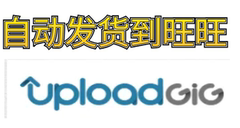uploadgig 自动发 高级权限账号  一天 18-24 100g