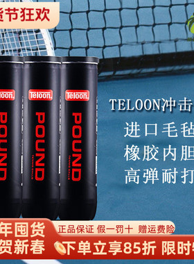 Teloon天龙球P4 POUND 天龙网球耐打加厚耐磨高弹比赛训练用球
