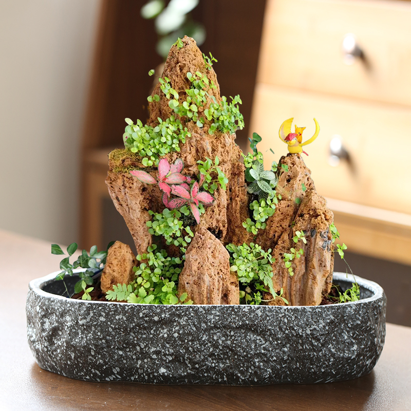 草水培陶瓷无孔花盆创意