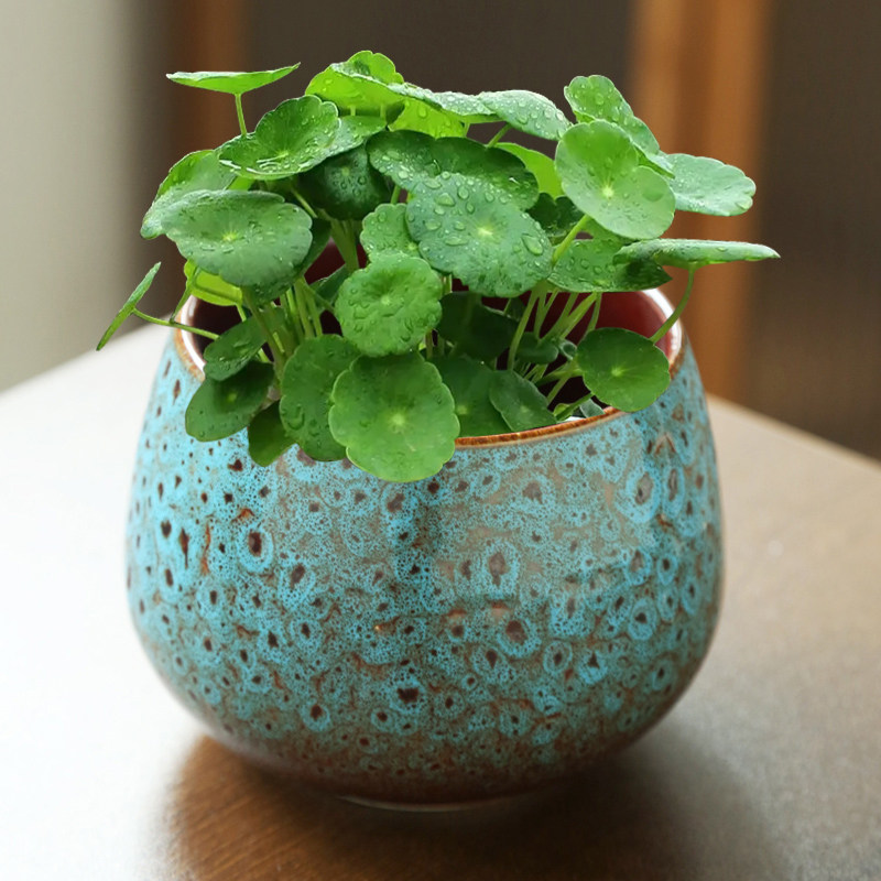 铜钱草绿萝水培花瓶陶瓷水养富贵竹花盆器皿笔筒茶渣缸装饰摆件