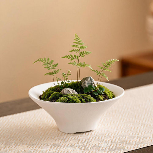 苔藓球花盆托盘蕨类植物专用盆家用桌面摆件无孔陶瓷水培器皿A94