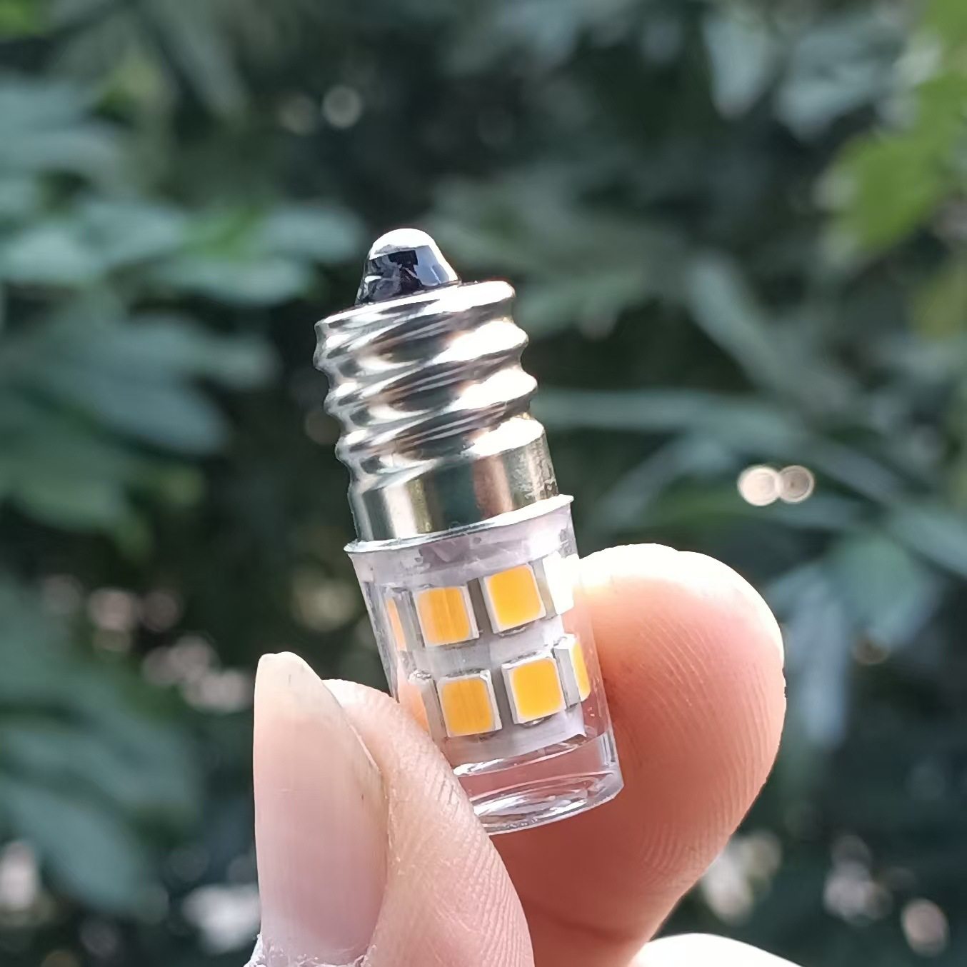 E12螺口LED灯泡微型奶白灯小灯珠光球矮罩圆5V12V24V48V220V240V