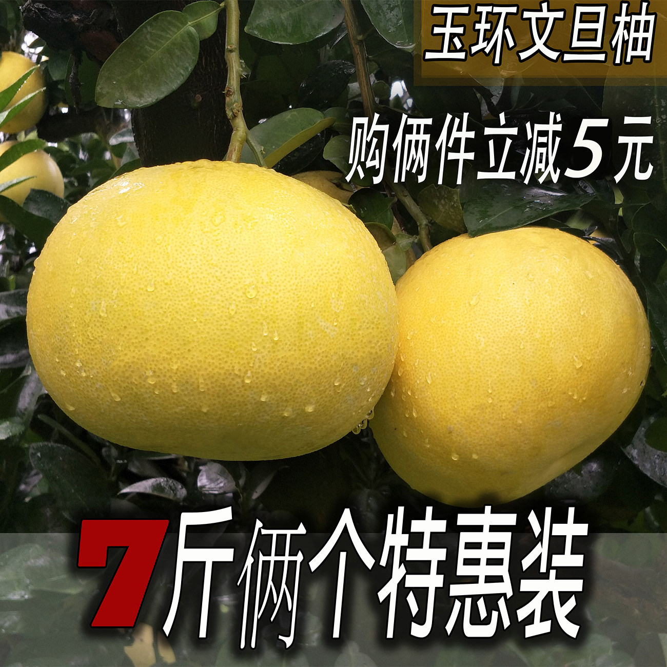 大果7斤5元包邮非红心文旦柚图片