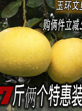 大果7斤5元包邮非红心文旦柚