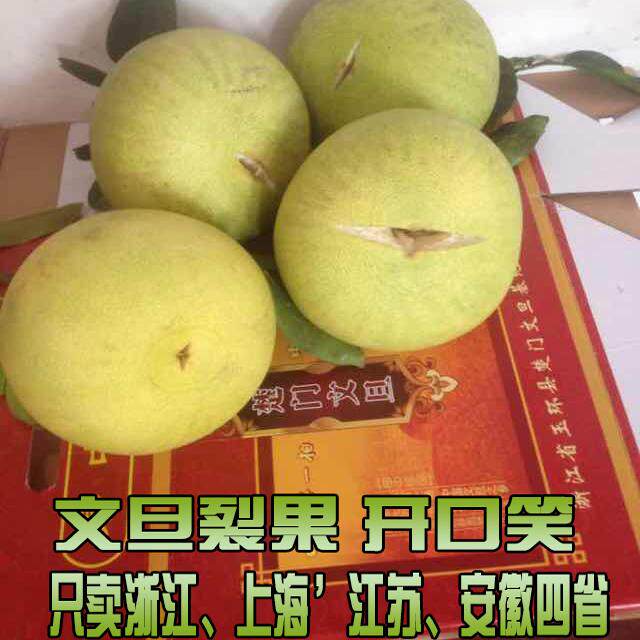 正宗玉环文旦楚门裂果丑好果柚子15斤当季新鲜水果非胡柚红心包邮