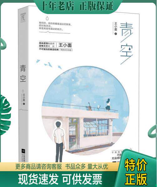 正版包邮青空 9787539998879 王小面 江苏文艺出版社