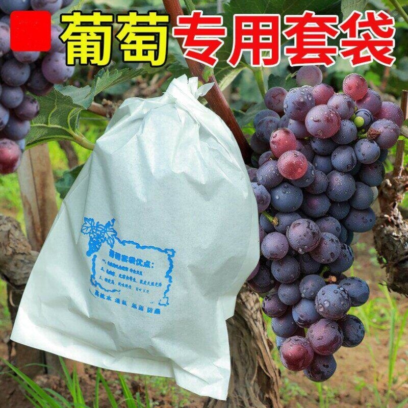 葡萄套袋专用袋防虫葡萄套育袋葡纸袋葡萄袋果袋袋子防水萄专用的