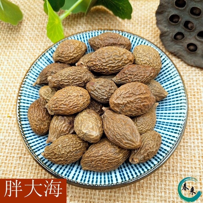 胖大海500g包邮 胖大海 茶散装花草茶叶