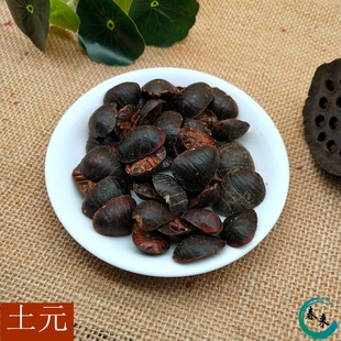 土元虫 土鳖虫干 土鳖虫 土鳖子 土元 500克/ 2斤包邮