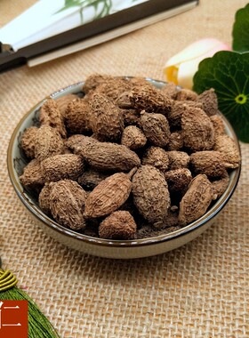 砂仁500g香料新货包邮中药材