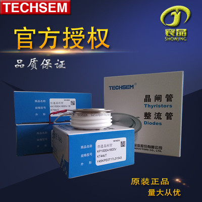 TECHSEM 台基晶闸管 KK系列 Y60KKE-KK1500A1800V