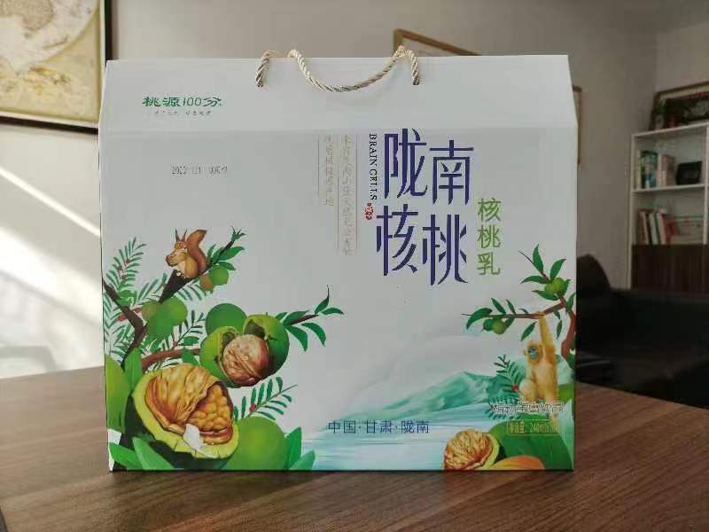 桃源100分 甘肃陇南核桃乳脑细胞植物蛋白原浆现磨核桃露10罐礼