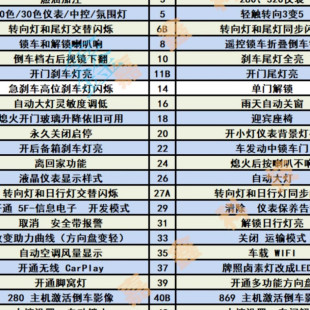 大众奥迪在线匹配、编码、刷隐藏，变速箱升级，助力曲线，出租。