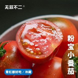 下波约！无双不二粉宝小番茄西红柿子新鲜水果蕃茄草莓番茄子现摘