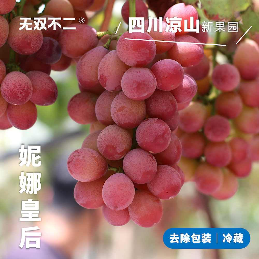 无双不二妮娜皇后四川葡萄无籽红提子红宝石新鲜水果现摘现发孕妇