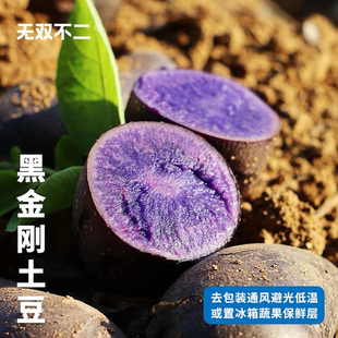 无双不二黑金刚土豆洋芋马铃薯新鲜蔬菜当季现挖紫皮小土豆花青素