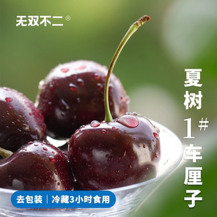 明年约！无双不二甘肃夏树车厘子当季新鲜水果大樱桃产地现摘现发