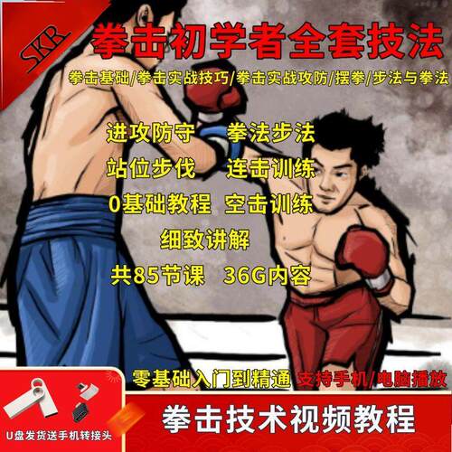 U盘拳击教程视频拳击初学者全套技法教学拳击私教基本动作视频课