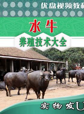 摩拉水牛养殖技术U盘视频教程 奶水牛饲养技术 温州槟榔江水牛犊