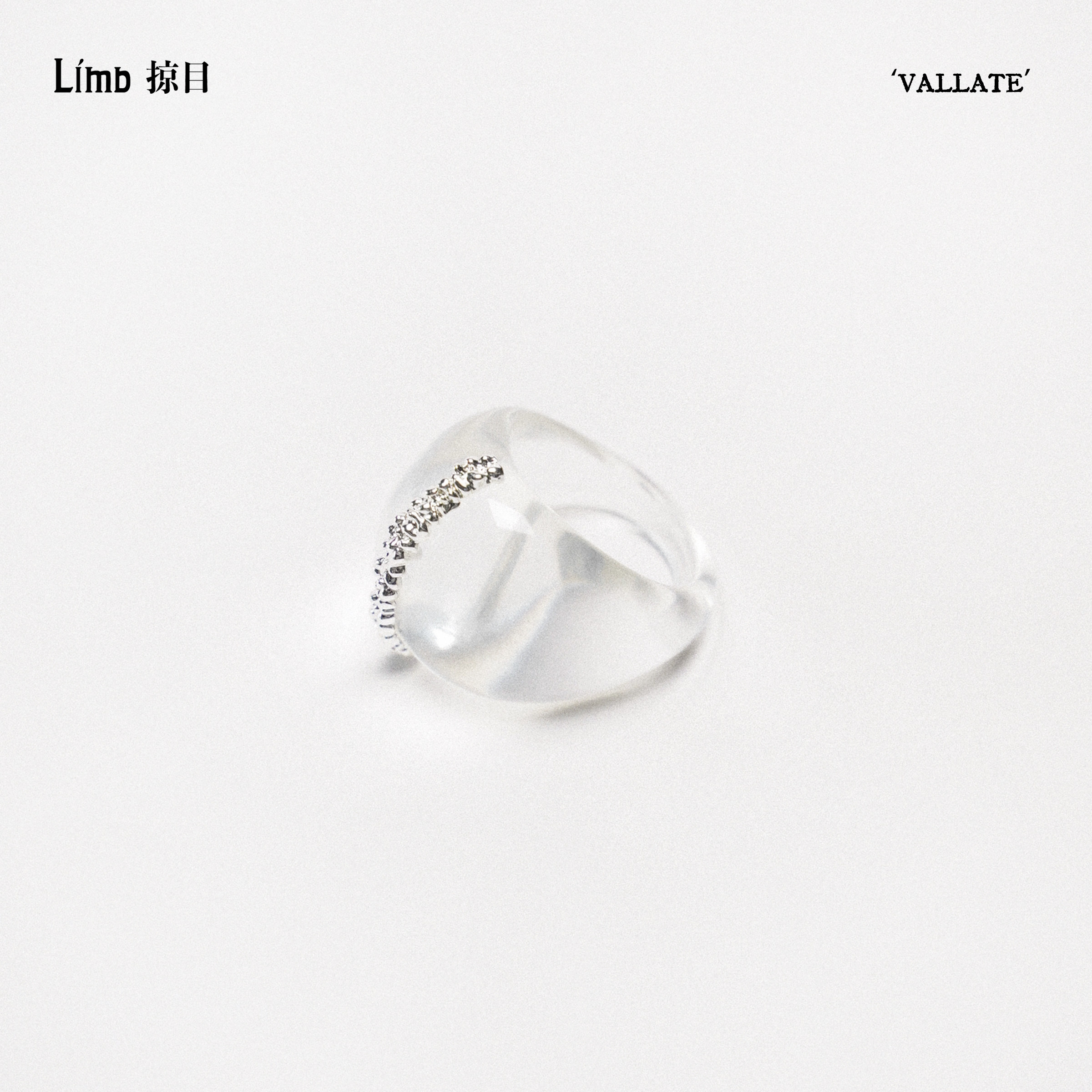 Limb掠目 【26春夏新品】Vallate·透影肌理树脂戒指镀厚银