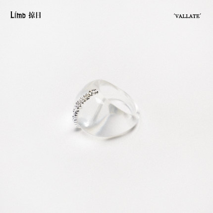 Limb掠目 Vallate环脊·透影肌理树脂戒指镀厚银