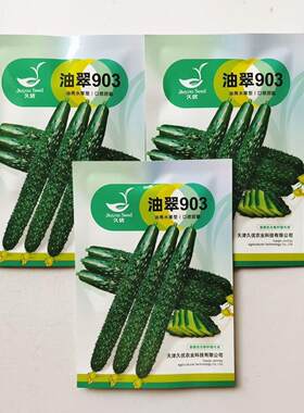 油翠903绿芯长黄瓜种子绿心密刺青黄瓜种籽四季菜种子旱黄瓜种子