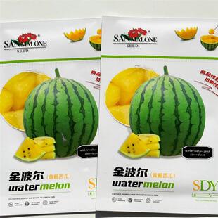 圣地亚金波尔黄瓤西瓜种子早熟高糖圆果礼品小西瓜种籽薄皮耐裂