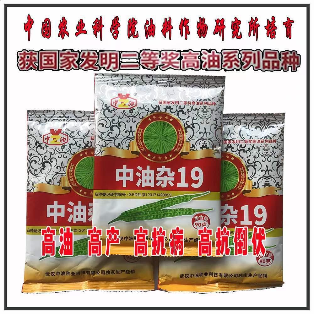 中油杂19油菜种子甘蓝型杂交种丰产抗病抗倒伏秋季播种精选种