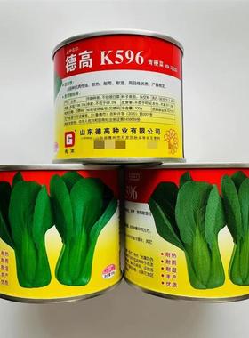 K596青梗菜种子蔬菜高产抗病耐热优质青菜种籽四季蔬菜孑春夏秋播